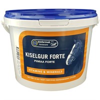 Kiselgur Forte 0,5 kg