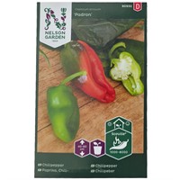 Chilipeppar "Padron"
