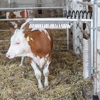 Koborste Vinklad Vit