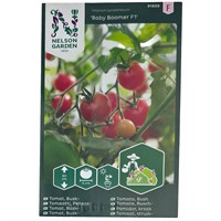 Tomat Busk - "Baby Boomer F1"
