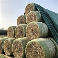 Baltäckningsduk 9,8 x 12,5 meter (130 gr/m²)