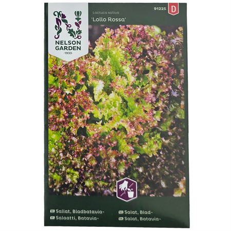 Sallat "Lollo Rosso"