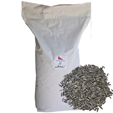 Solrosfrö 20 kg